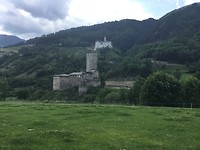 IMG_0131