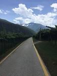 IMG_0146