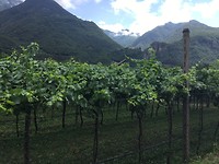IMG_0147