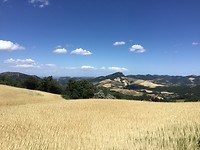 IMG_0177