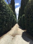 IMG_0195