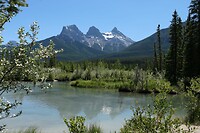 IMG-20240707-WA0005