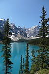 IMG-20240709-WA0008