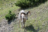 IMG-20240709-WA0006