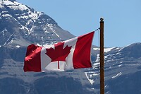 IMG-20240710-WA0002