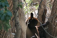 IMG-20240711-WA0006
