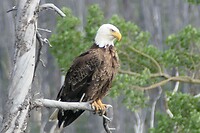 IMG-20240711-WA0002