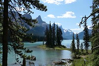 IMG-20240712-WA0010