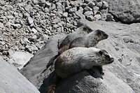 IMG-20240712-WA0002