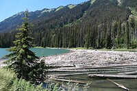 IMG-20240715-WA0005