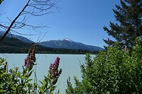 IMG-20240716-WA0000
