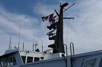 IMG-20240717-WA0005