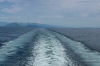 IMG-20240717-WA0002