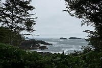 IMG-20240718-WA0000