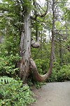 IMG-20240718-WA0008