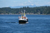 IMG-20240719-WA0002