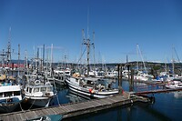 IMG-20240719-WA0008
