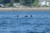 IMG-20240720-WA0002