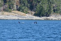 IMG-20240720-WA0003