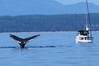 IMG-20240720-WA0011