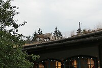 IMG-20240721-WA0004