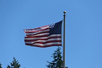 IMG-20240723-WA0004
