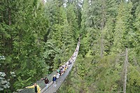 IMG-20240724-WA0005