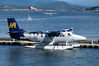 IMG-20240725-WA0000