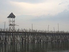 Bamboo Bridge