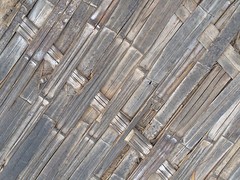 Bamboo