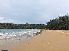 DumTrau strand