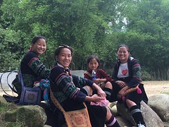 Black Hmong gidsen