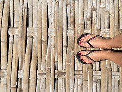 Bamboo bridge