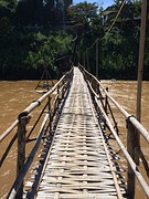 Bamboo bridge