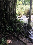 Kuang Si Waterfall