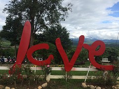 Love Pai