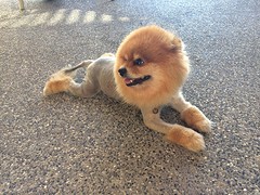 :-)