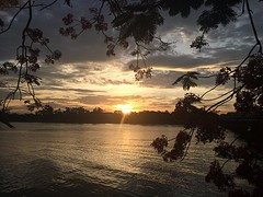 IMG_4148