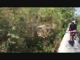 060516 Fietsen Bangkok