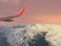IMG_8995