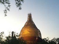 IMG_9919
