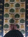 IMG_9972