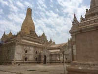 IMG_9989