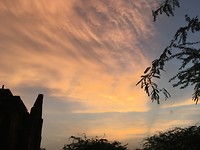 IMG_0131