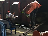 IMG_0376