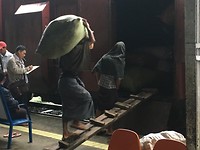 IMG_0377