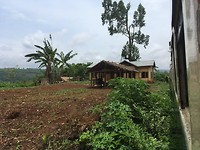 IMG_0459