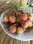 IMG_0571