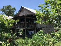 IMG_0582