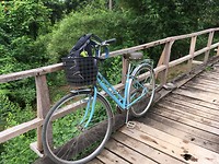 IMG_0604
